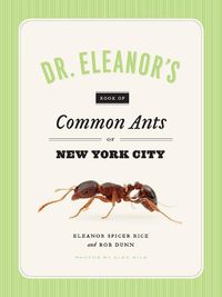 Cover image for Dr. Eleanor's Book of Common Ants of New York City