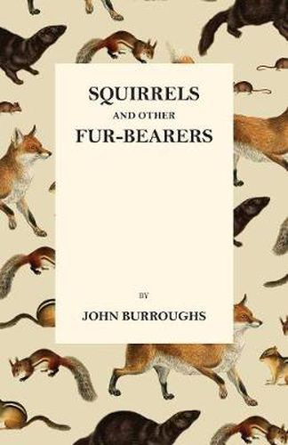 Cover image for Squirrels And Other Fur-Bearers