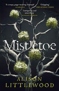 Cover image for Mistletoe: 'The perfect read for frosty nights' HEAT