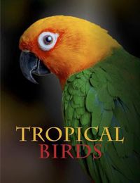 Cover image for Tropical Birds