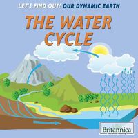 Cover image for The Water Cycle