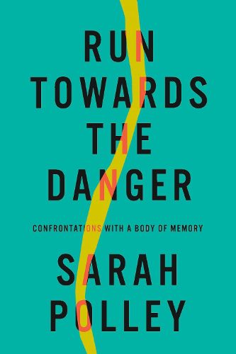 Cover image for Run Towards the Danger: Confrontations with a Body of Memory