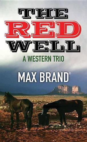 Cover image for The Red Well