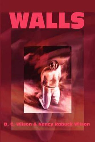 Cover image for Walls