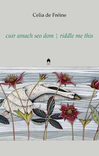 cuir amach seo dom / riddle me this