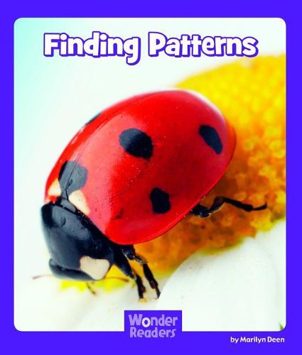 Cover image for Finding Patterns