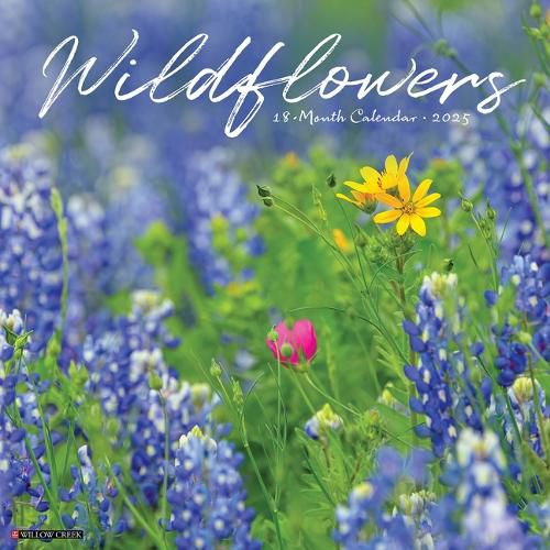 Cover image for Wildflowers 2026 12 X 12 Wall Calendar