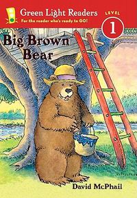 Cover image for Big Brown Bear