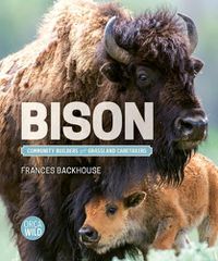 Cover image for Bison