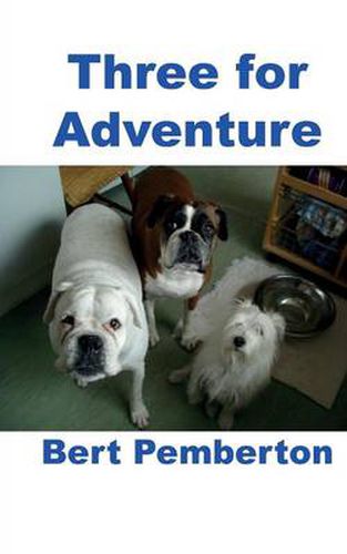 Cover image for Three for Adventure