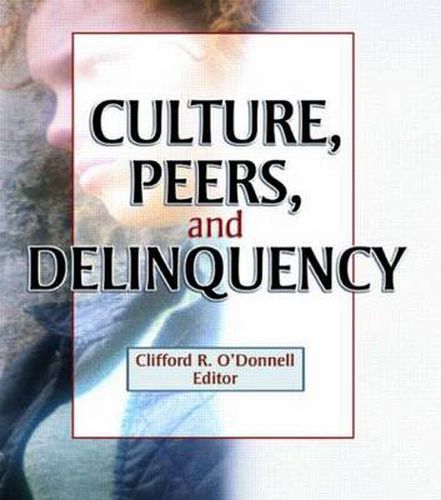 Cover image for Culture, Peers, and Delinquency