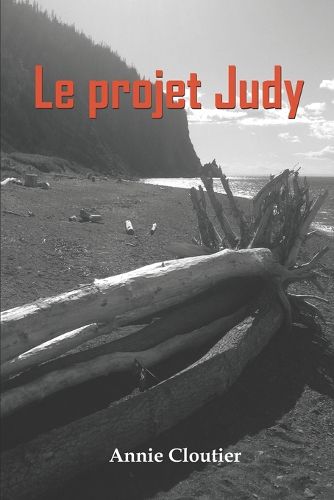 Cover image for Le projet Judy