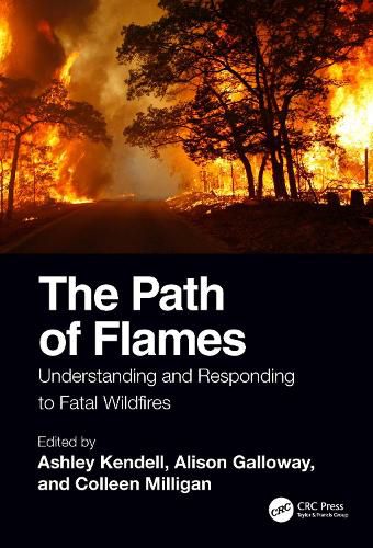 Cover image for The Path of Flames