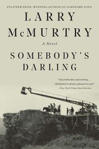 Cover image for Somebody's Darling: A Novel
