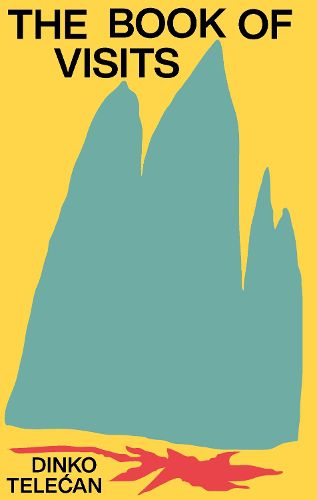 Cover image for The Book of Visits