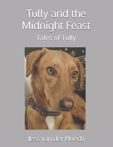 Cover image for Tully and the Midnight Feast