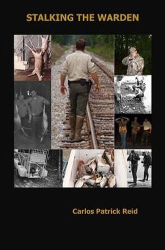 Cover image for Stalking the Warden