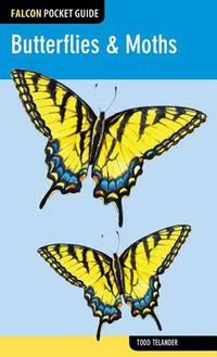 Cover image for Butterflies & Moths