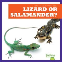 Cover image for Lizard or Salamander?