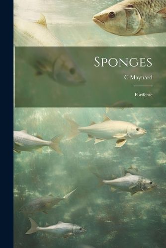 Cover image for Sponges; Poriferae