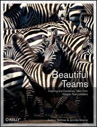 Cover image for Beautiful Teams