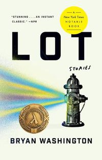 Cover image for Lot: Stories