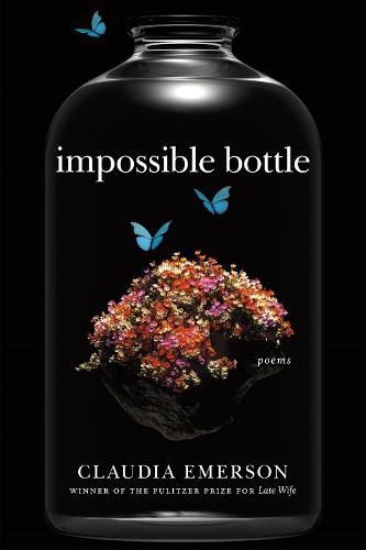 Cover image for Impossible Bottle: Poems