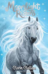 Cover image for Moonlight Riders: Storm Stallion: Book 2