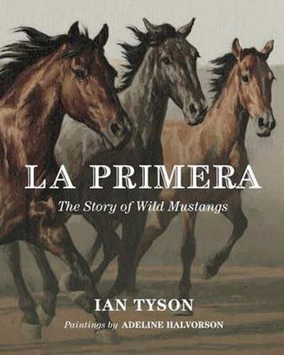Cover image for La Primera: The Story Of Wild Mustangs