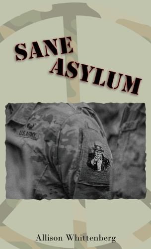 Cover image for Sane Asylum