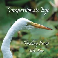 Cover image for Compassionate Eye: Finding Love