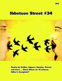 Cover image for Ibbetson Street #34