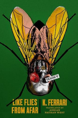 Cover image for Like Flies from Afar
