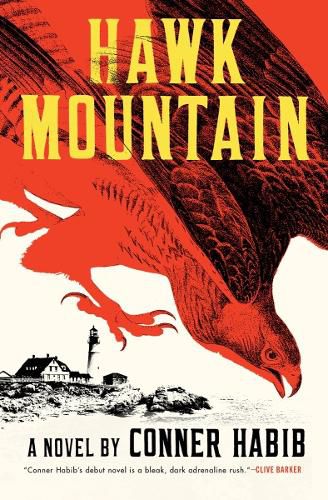 Cover image for Hawk Mountain: A Novel