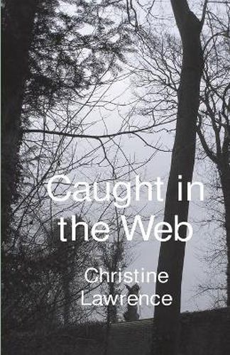 Cover image for Caught in the Web