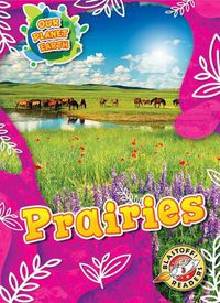 Cover image for Prairies