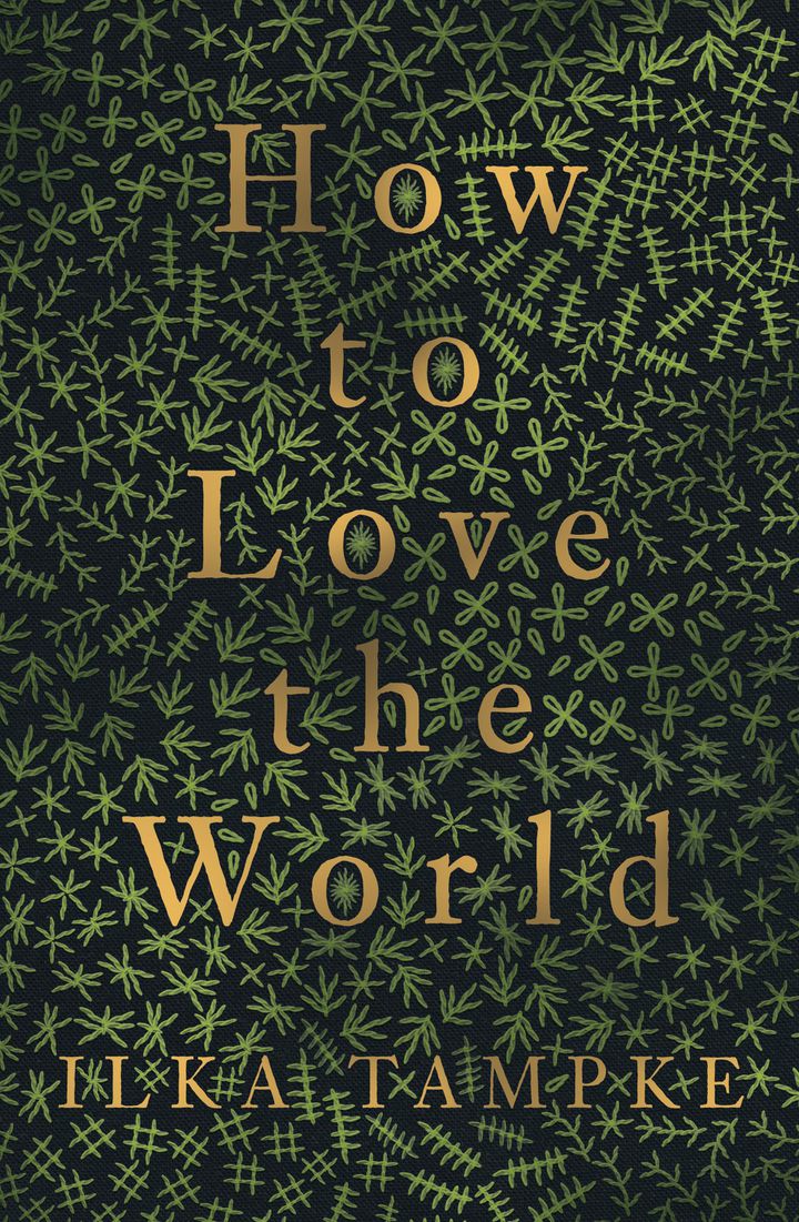 How to Love the World by Ilka Tampke 