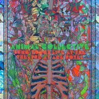 Cover image for Sung Tongs Live at the Theatre at Ace Hotel - Animal Collective *** Light Green/Neon Orange Vinyl