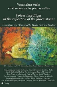 Cover image for Voces alzan vuelo en el reflejo de las piedras caidas: Voices take flight in the reflection of the fallen stones