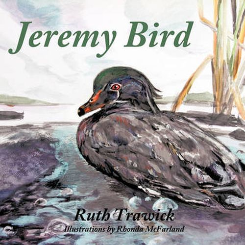 Cover image for Jeremy Bird