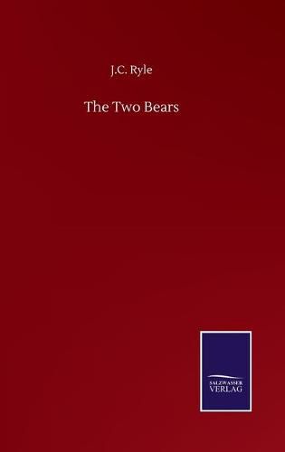 Cover image for The Two Bears