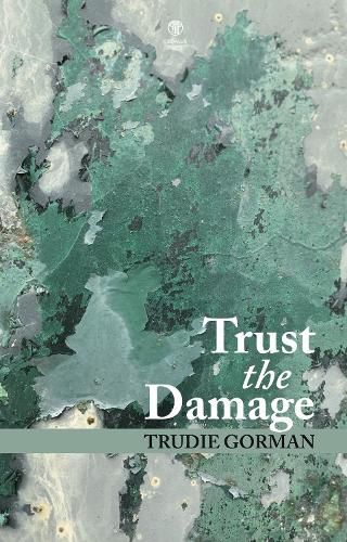 Cover image for Trust the Damage