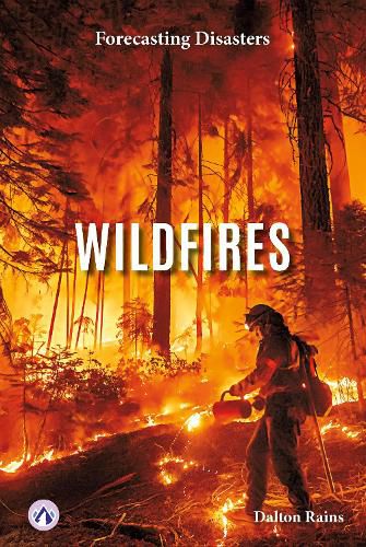 Cover image for Wildfires