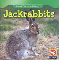 Cover image for Jackrabbits