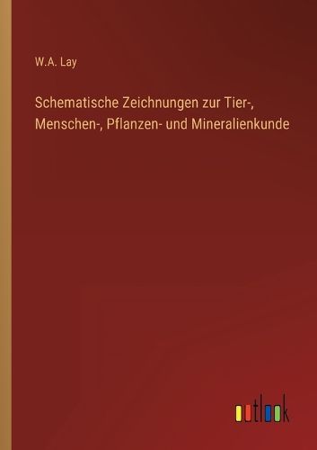 Cover image for Schematische Zeichnungen zur Tier-, Menschen-, Pflanzen- und Mineralienkunde