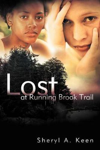 Cover image for Lost at Running Brook Trail