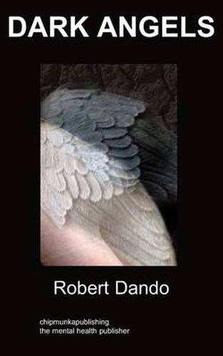 Cover image for Dark Angels: A Story About a Mental Hospital