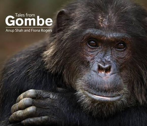 Cover image for Tales from Gombe