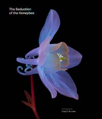 Cover image for The Seduction of the Honeybee