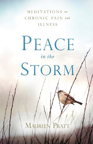 Cover image for Peace in the Storm